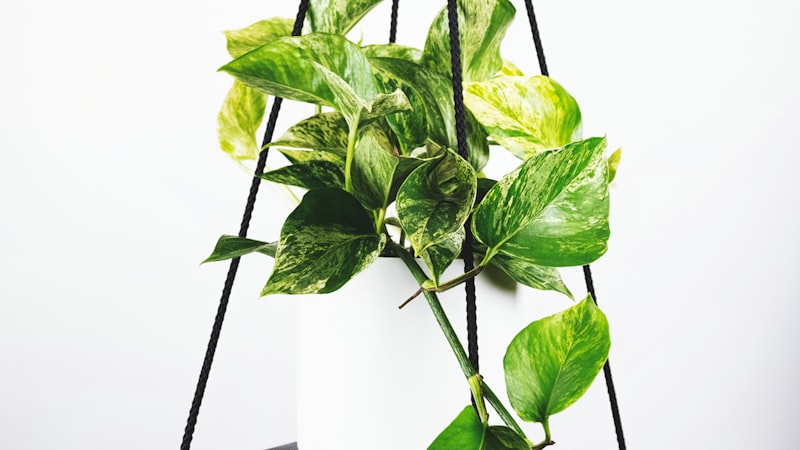 皇马与巴萨国家德比的数据统计仪表盘 - 重点展示射门转化率对比